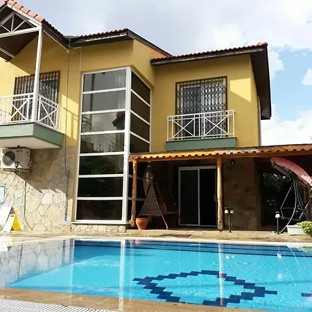 Tangerine Villalari كوشاداسيه